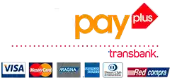 Logo para pago a través de Webpay