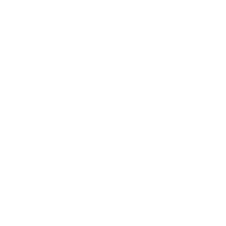 Mayor Seguridad Icono