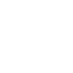 Seguridad icono
